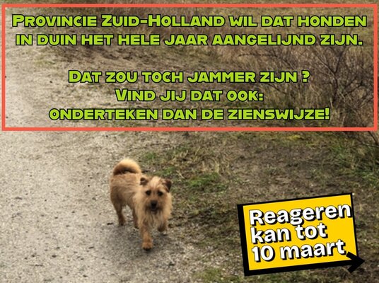 Handtekeningenform hond in duin %281%29